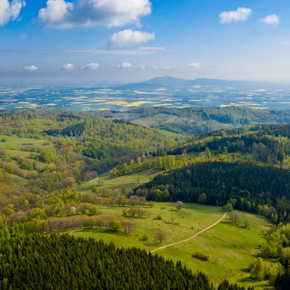 DJI_0081