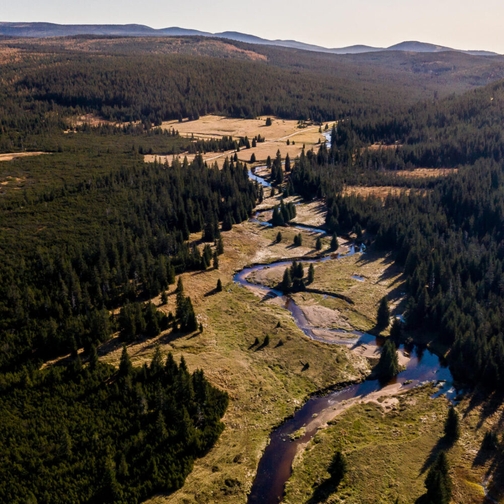 DJI_0834